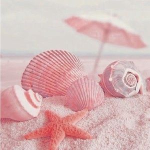 Meet your Posher, Ariana